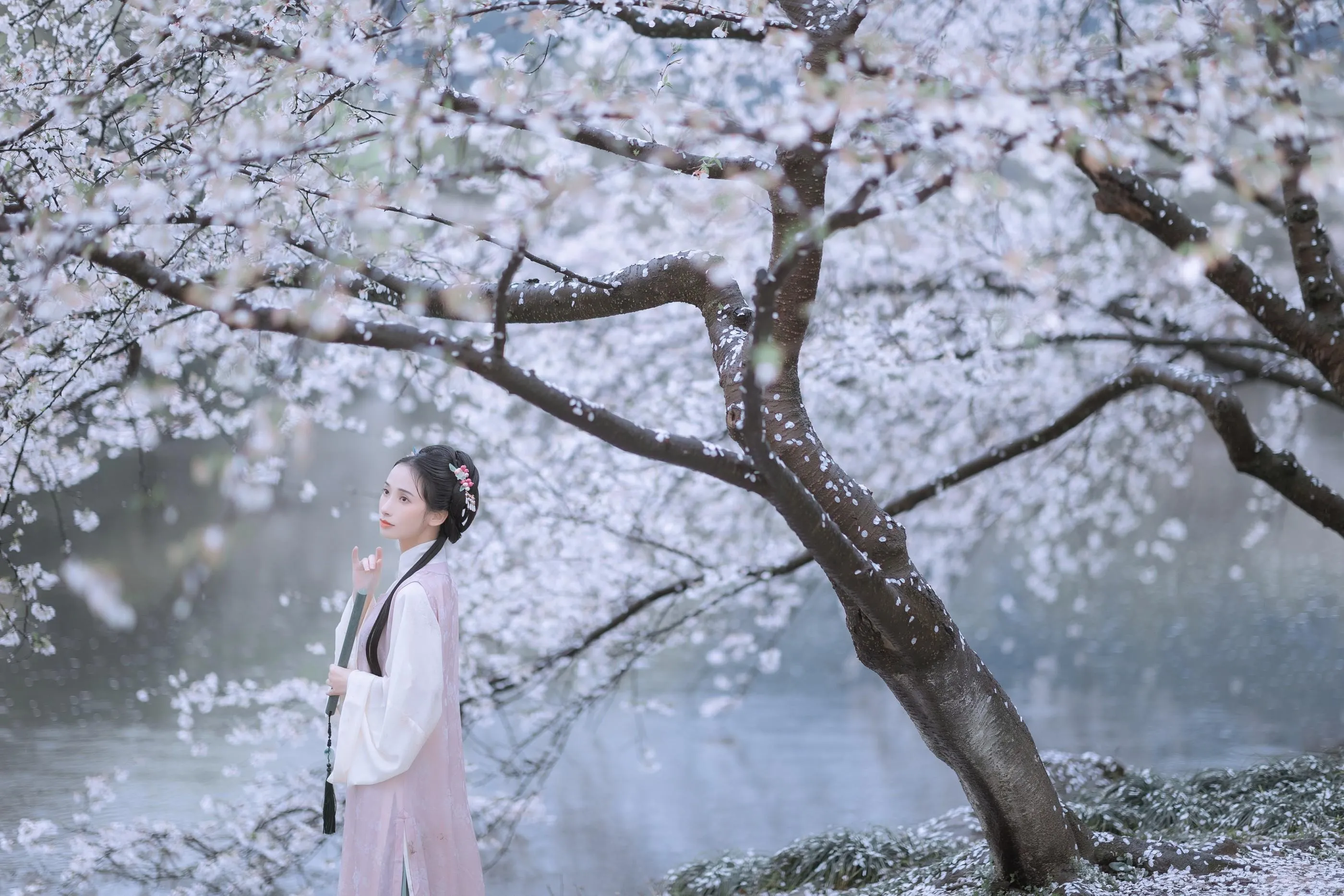 [艺图语] 2022.05.25 雨樱花 眸小妖 [46P]插图6